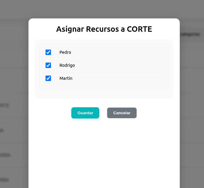 Proceso de asignación de recurso
